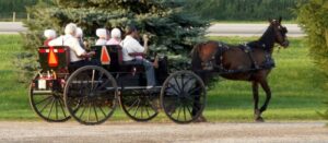 Amish-Familie in einer schwarzen Kutsche