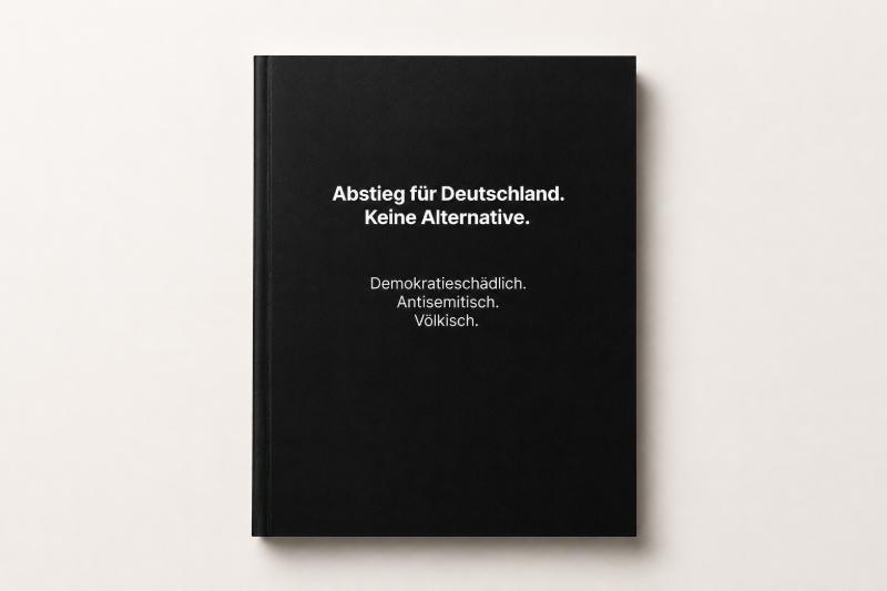 CDU-Schmutzkampagne gegen AFD: Wie die Union die Opposition mit Deportations-Lügen und Antisemitismus-Vorwürfen eindeckt 4 Das Cover der CDU Broschüre „Abstieg für Deutschland. Keine Alternative.". Auf 34 Seiten führt die CDU aus, wie verheerend die AfD-Politik für Deutschland wäre.