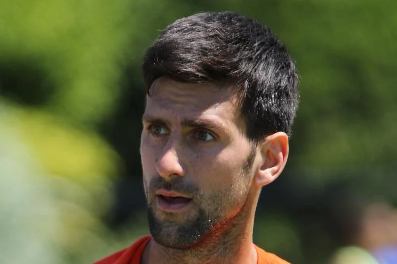 Novak Djokovic: Der ungeimpfte Tennisstar und beste Spieler aller Zeiten - Zwischen Einreisebestimmungen, Politikum und politischer Verfolgung 1 Novak Djokovic, 2017
